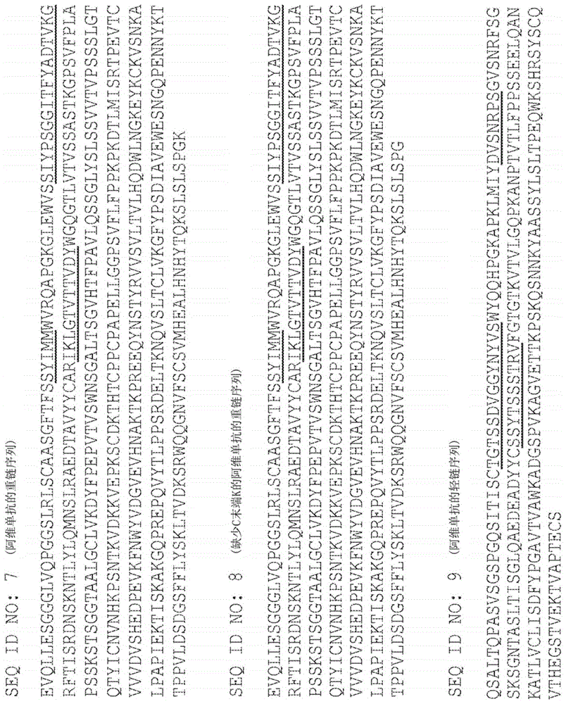 使用组合疗法治疗癌症的方法与流程