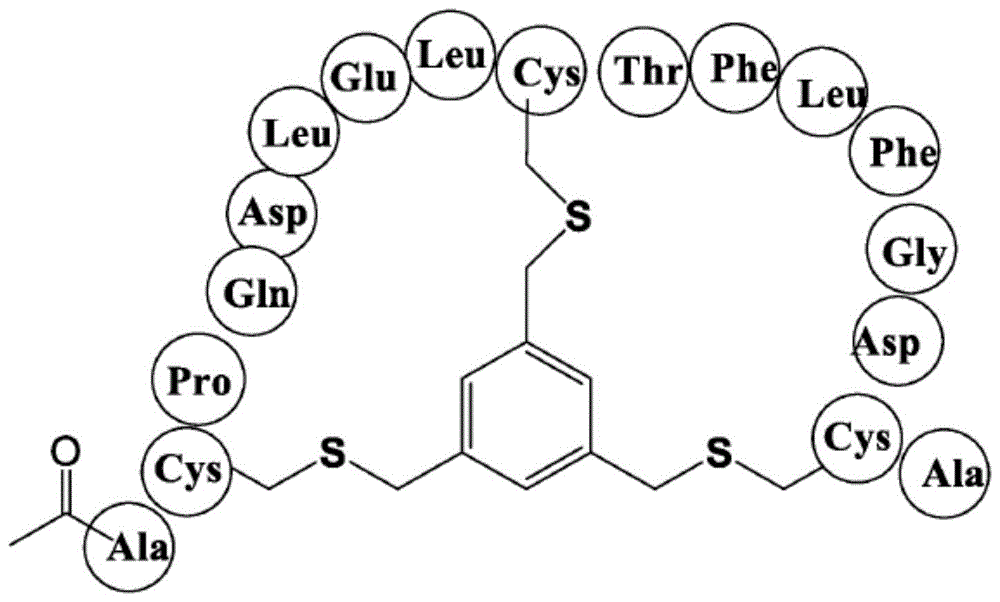 用于结合IL-17的肽配体的制作方法