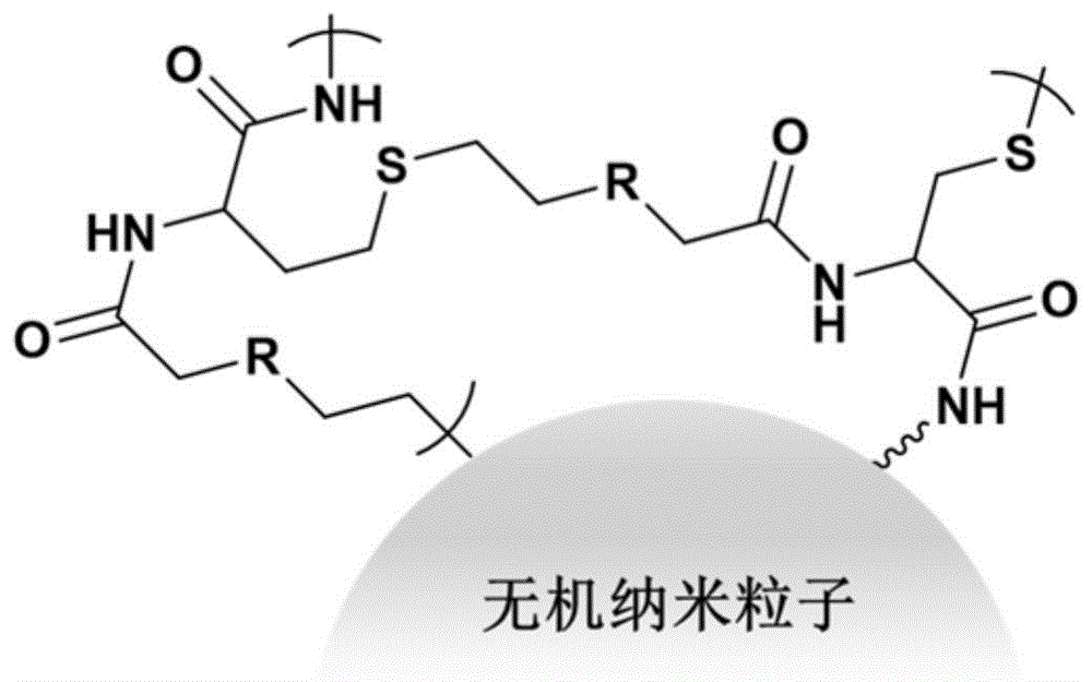 超支化聚合物改性无机纳米成核剂及其制备方法和应用与流程