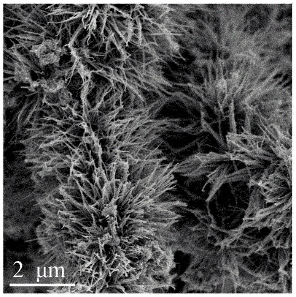 一种毛刷状碳纳米管@二氧化钛纳米线气敏材料及其制备方法与流程