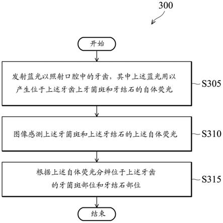 分辨牙菌斑和牙结石的方法及装置与流程