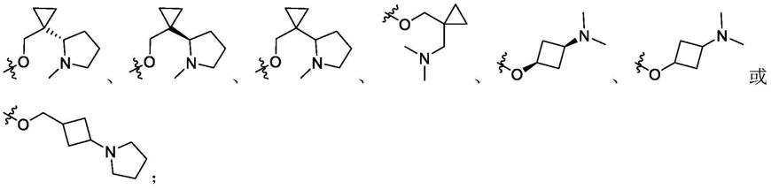 一种四氢吡啶并[3,4-d]嘧啶衍生物及其在医药上的应用的制作方法