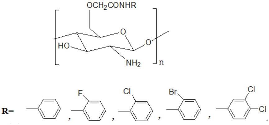 一种含卤代苯的羧甲基壳聚糖及其制备方法和应用与流程