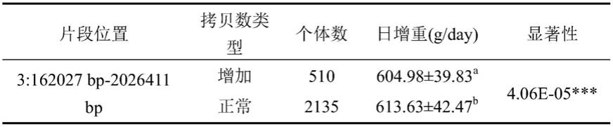 一种猪3号染色体上与猪日增重和上市体重日龄相关的拷贝数变异分子标记及应用的制作方法