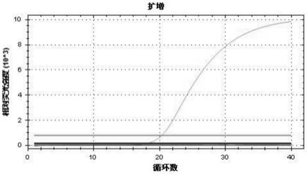 一种用于检测布赫纳蝗螨的引物探针组及其应用的制作方法