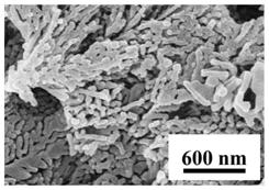 Si纳米线制造方法、Si纳米线锂离子电池电极制造方法与流程