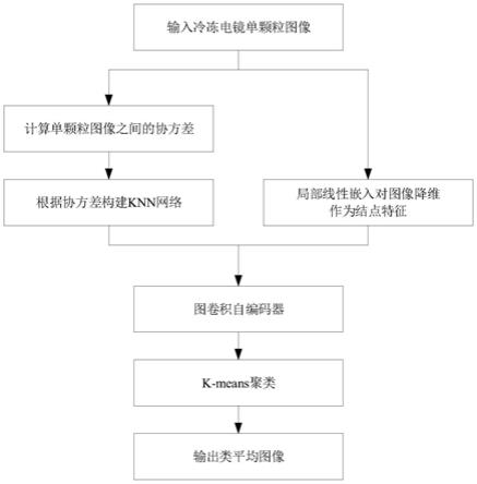 基于图卷积自编码器的冷冻电镜单颗粒图像聚类实现方法与流程