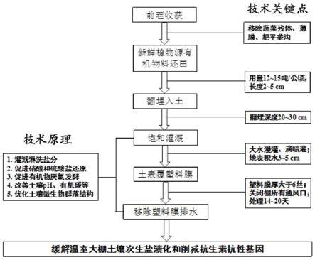 同步消减大棚土壤次生盐渍化和抗生素抗性基因的方法与流程