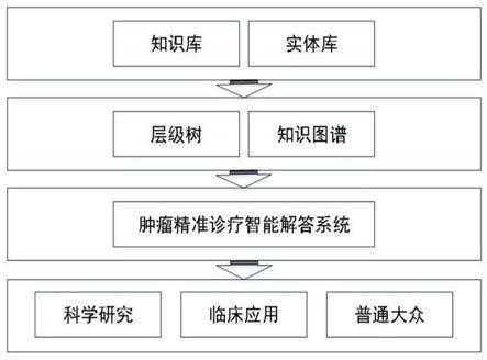 基于肿瘤精准诊疗知识图谱的智能解答系统的制作方法