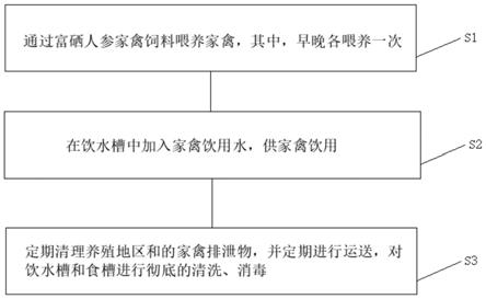 一种富硒人参家禽饲料以及采用该饲料饲养家禽或产蛋的方法与流程