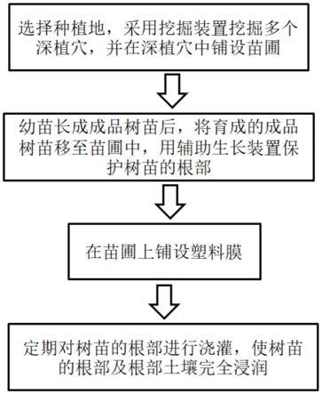 一种胡杨幼林人工促进快速成林的方法与流程