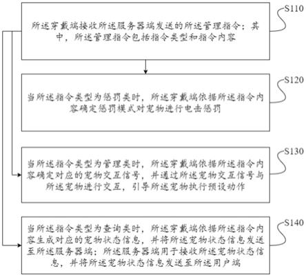 一种宠物管理方法、装置、系统、设备及存储介质与流程