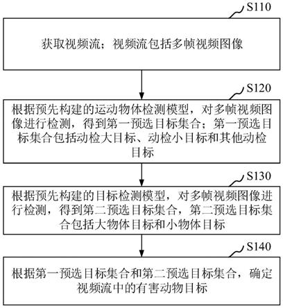 基于视频监控的有害动物检测方法、装置和电子装置与流程