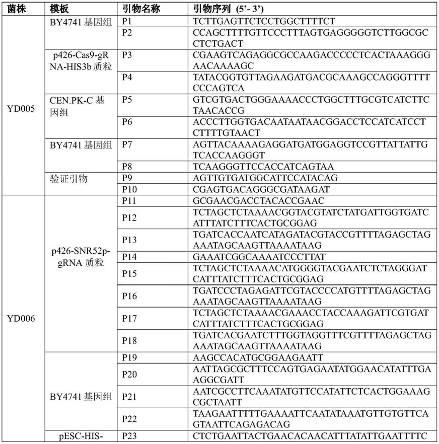 一种基于CRISPR Cas9的酵母基因组编辑方法与流程