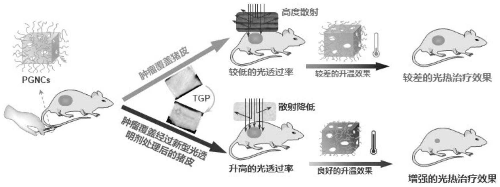 一种光透明剂及其制备方法与流程