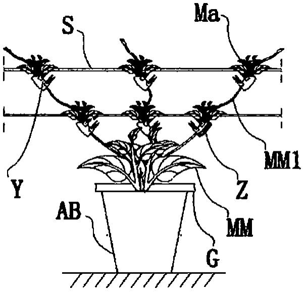 一种内设絮构造供液体杯栽植植物技术的制作方法