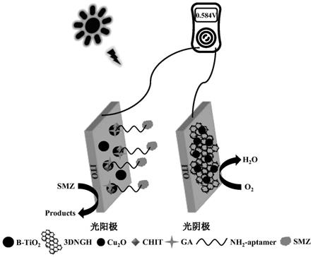 一种新型光助双极自供能适配体传感器件的构建方法与流程