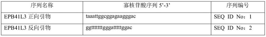 一种用于宫颈高级别病变及宫颈癌检测的组合物及诊断试剂的制作方法