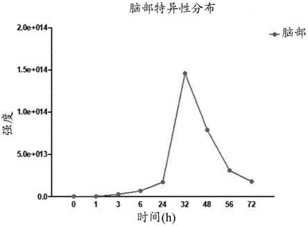 来源于鞘氨醇单胞菌属细菌的纳米囊泡及其用途的制作方法