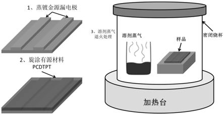 一种溶剂蒸气热处理提高有机薄膜晶体管器件载流子迁移率的方法
