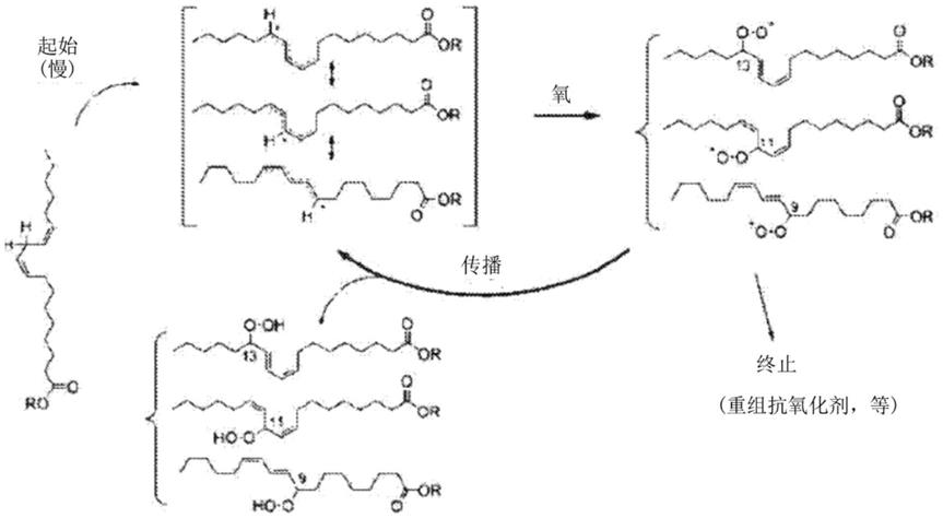 稳定的多不饱和化合物及其用途的制作方法