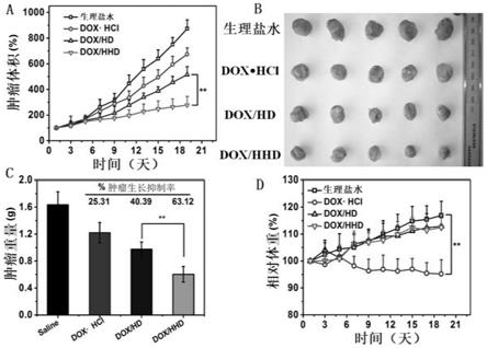 CD44介导的智能响应型聚合物胶束及其制备和应用