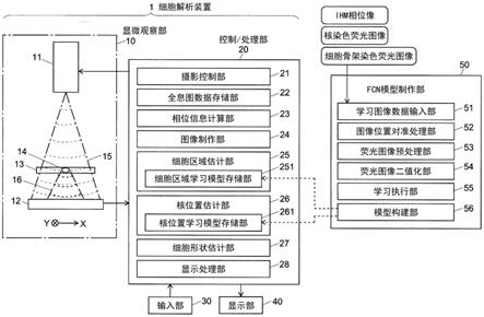 细胞图像解析方法及细胞解析装置与流程