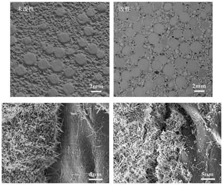 改性聚苯乙烯-碱式硫酸镁水泥复合保温材料的制备方法