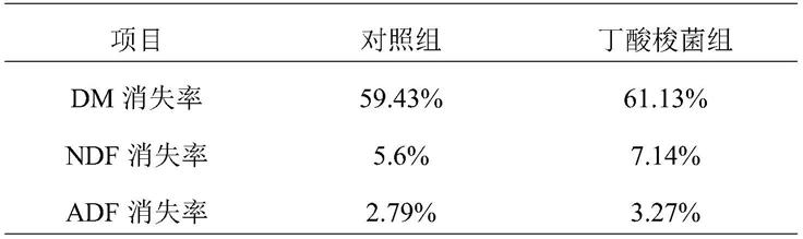 反刍动物专用丁酸梭菌制剂及其制备方法和应用与流程