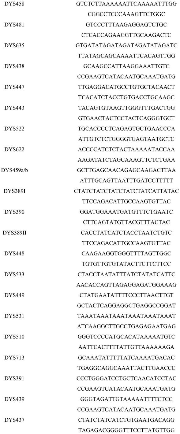 54个Y染色体基因座的荧光复合扩增体系、试剂盒及应用的制作方法