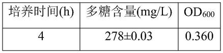 一株产具有抗肿瘤和降糖降脂活性的胞外多糖的嗜酸乳杆菌及其应用