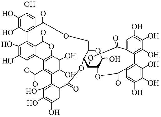用于睾丸激素促进的协同草药组合物的制作方法