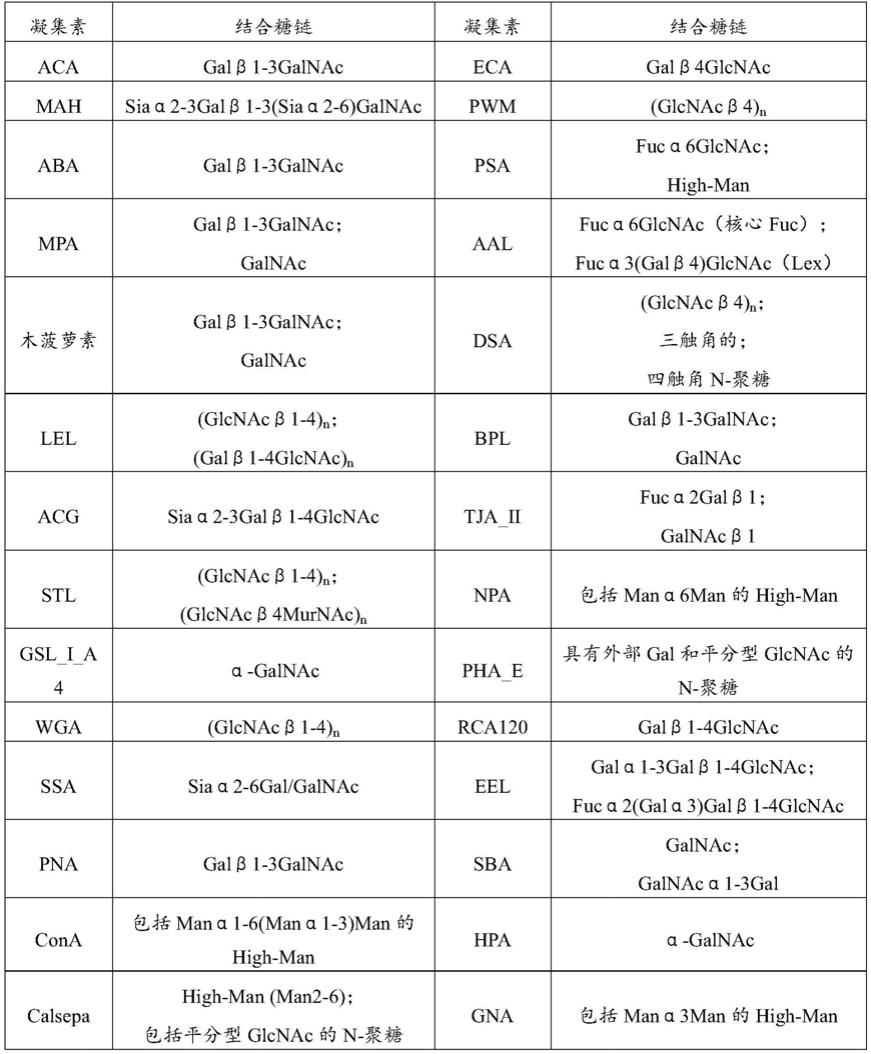 IgA肾病发病可能性的判断方法及试剂盒