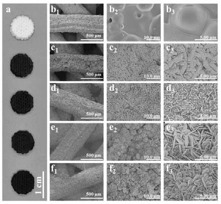 表面具有微纳米结构的生物陶瓷支架及其制备方法和应用
