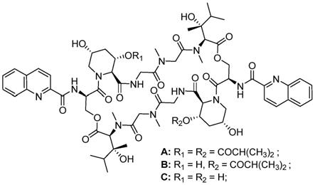 一种酯肽类化合物及其制备方法和应用
