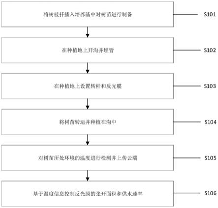 一种提高苗木抗高温的种植方法与流程