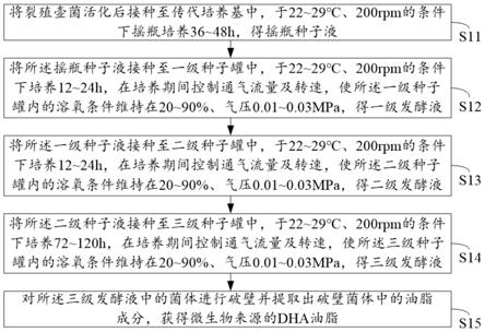 一种微生物来源的DHA油脂及其制备方法、以及功能食品与流程