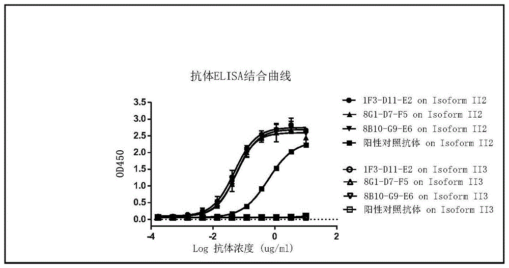 cBIN1抗体及其应用的制作方法