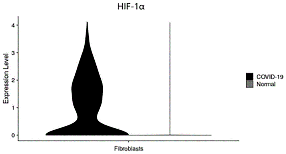 AR抑制剂和/或HIF-1α抑制剂在制备药物中的应用的制作方法