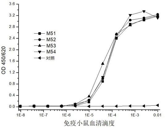 针对新型冠状病毒核衣壳蛋白的抗体或其抗原结合片段及其应用的制作方法