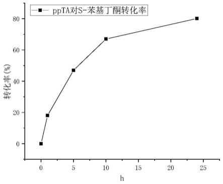 催化长侧链芳香族胺与2-酮丁酸合成L-2-氨基丁酸的方法