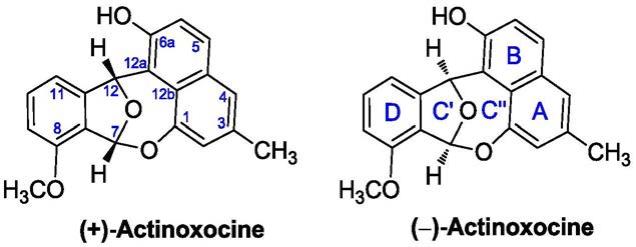 Actinoxocine及其异构体制备和应用的制作方法