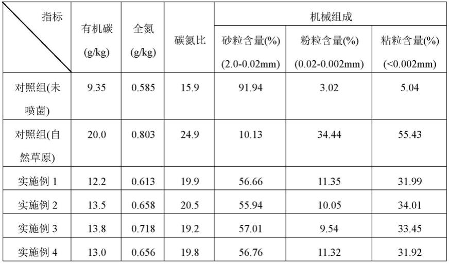 用于矿区土壤修复的微生物复合菌剂及其使用方法与流程