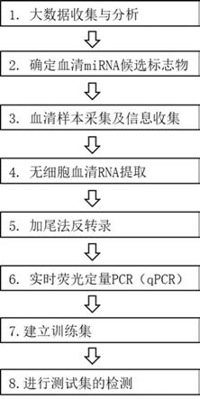 一种外周血miRNA肺癌诊断标志物组合及其检测试剂盒