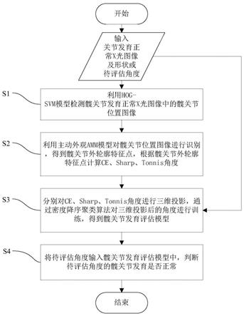 髋关节X光自动评估方法与流程