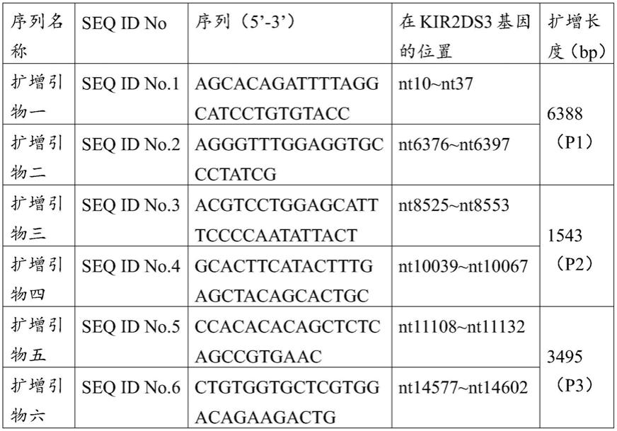 KIR2DS3基因分型试剂盒和分型方法与流程