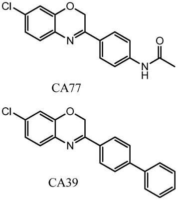 用作分子伴侣介导的自噬调节剂的化合物