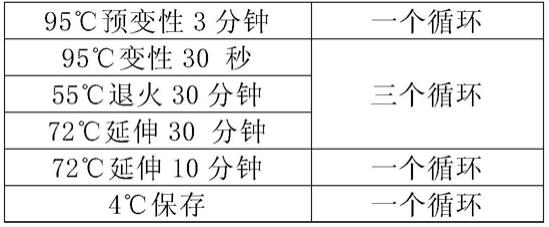 一种禽流感通用表位疫苗的制作方法