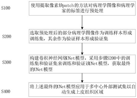 一种病理学图像的口腔癌上皮组织区域自动分割方法与流程