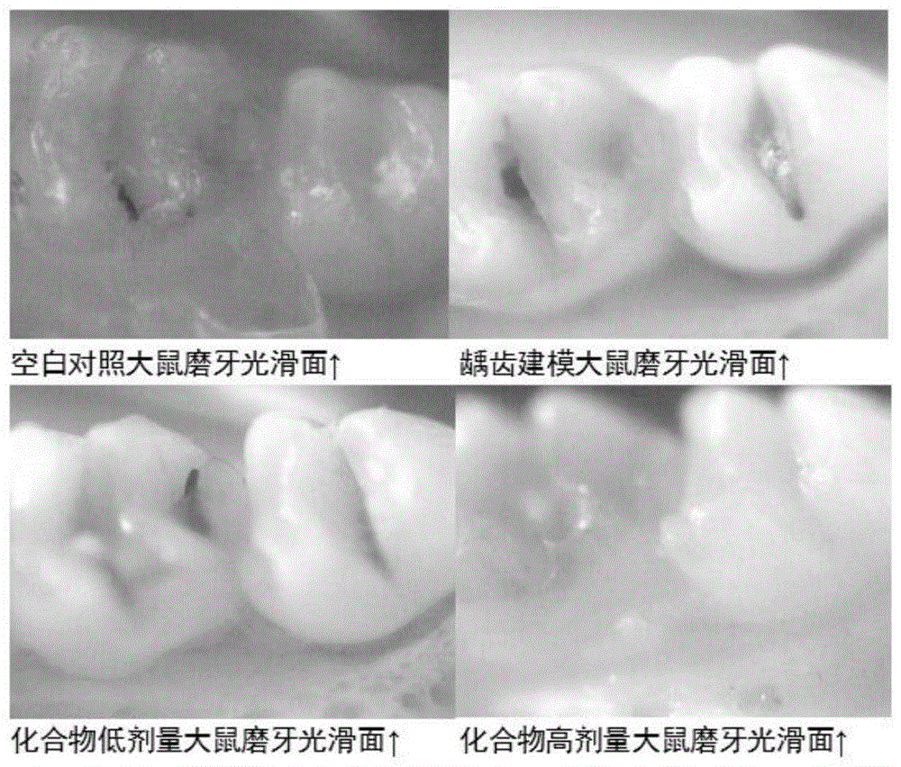 一种5-硝基-苯并噻吩-2-甲酸及其化学合成方法与流程